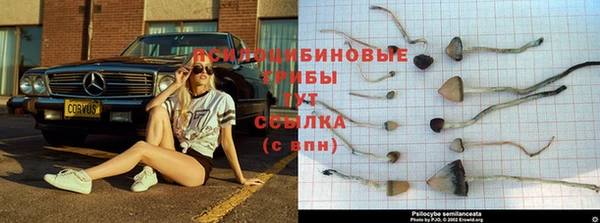 кокаин VHQ Костерёво